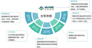 華威醫(yī)藥 國(guó)內(nèi)CRO行業(yè)中的互聯(lián)網(wǎng)銷售先鋒